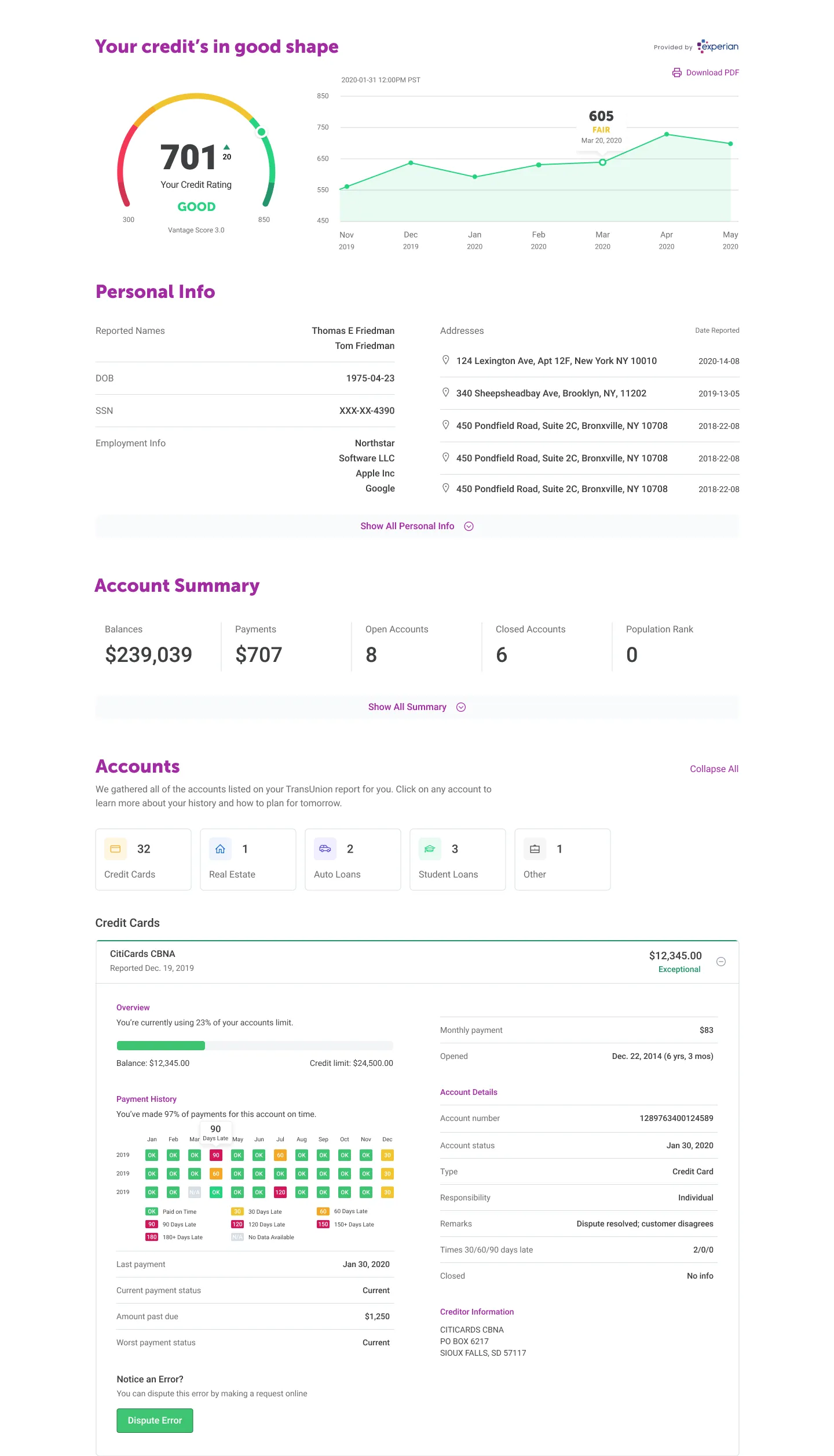 Credit Report
